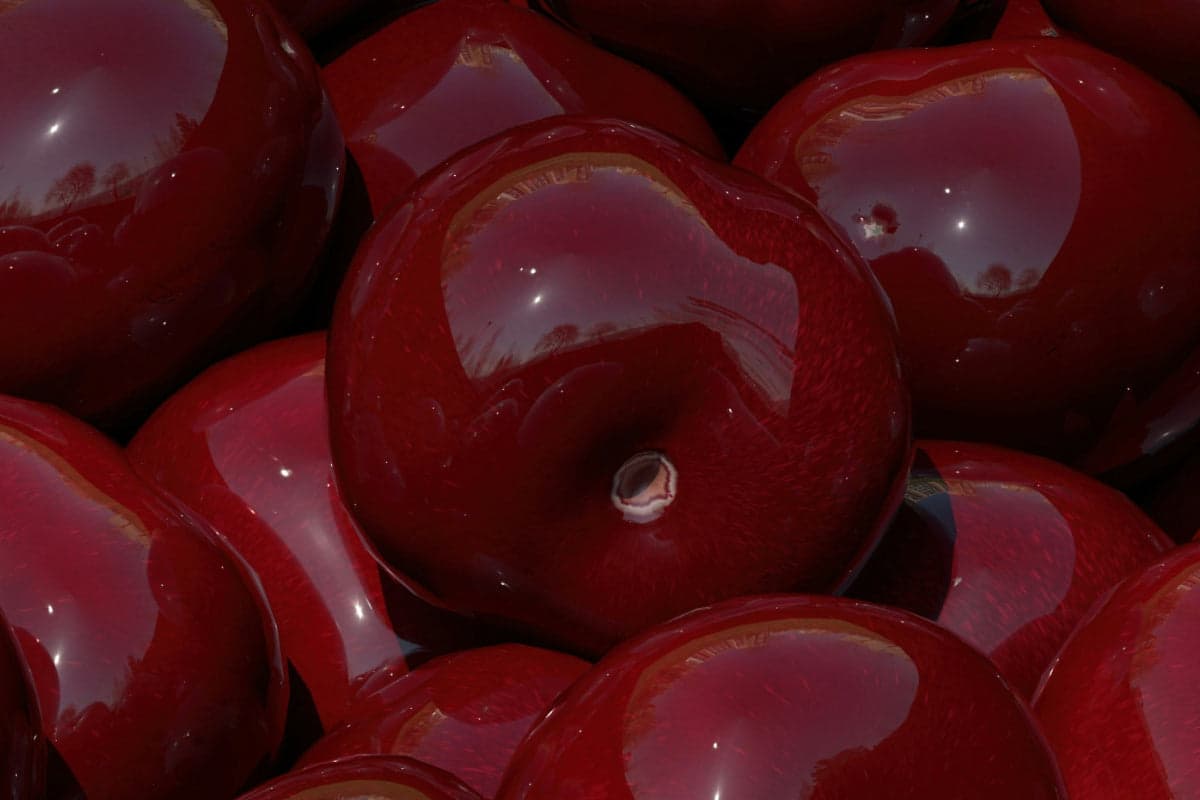 What Your Heart Needs From You: How To Keep It Healthy For Life
